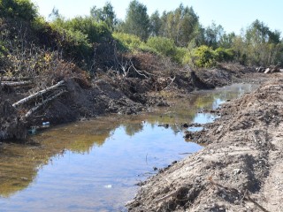Русло реки Мещериха в охраняемой зоне расчистили от незаконных насыпей