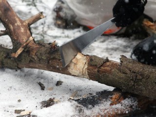 Один неверный шаг с бензопилой — и штраф: где достать бесплатные дрова