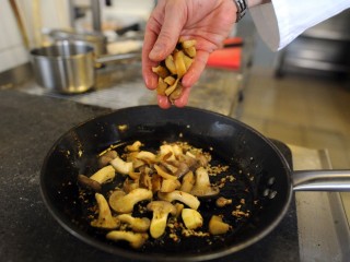 Что и как приготовить из опят: быстро, просто и вкусно