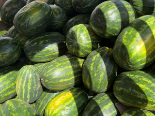 Продавцы арбузов в Сватково и Краснозаводске попались на нелегальной торговле