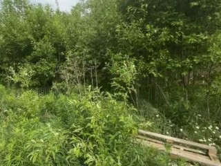 Конкуренция за участки под ИЖС достигла пика в Подмосковье