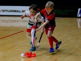 Дворец спорта «Лама» приглашает детей и подростков в бесплатную секцию флорбола