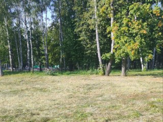 Городской парк в Ивантеевке привели в порядок после празднования Дня города