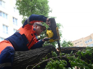 Дорогу в Хранево освободили от веток дерева