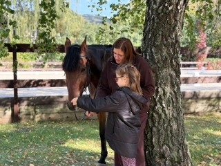 Более 400 особенных детей примет фестиваль конного спорта «Золотая Осень» в Котельниках
