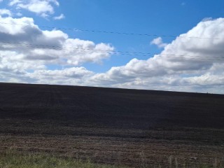 Видновчан ждут теплые выходные