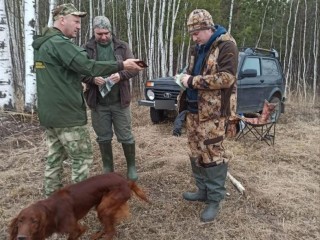 Охота на самцов лося открыта в Подмосковье
