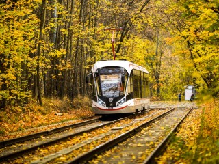 Потеплеет до +15 в Подмосковье, обещают синоптики