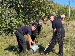 Зарайские полицейские посадили яблоню в память о коллегах