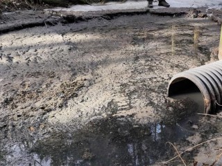 В Домодедове эконадзор выявил новые нарушения в охране озера Черное