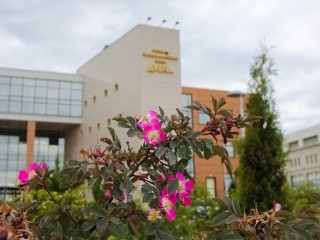 В «Дубне» тысячу рабочих мест создали 40 IT-компаний