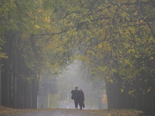 Сырость, туманы и резкие перемены: метеорологи предупредили о погодных аномалиях в Подмосковье