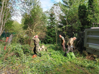 Лесничие спасли постройки садоводов от опасного дерева