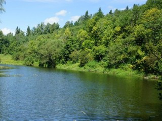Фотоконкурс подчеркнет ценность водных объектов Подмосковья