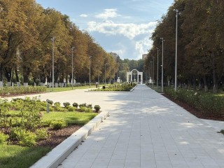 Обновленную Каштановую аллею представят жителям в День города