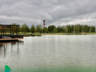 Более 30 кубометров тины и водорослей вывезли со Стахановского озера