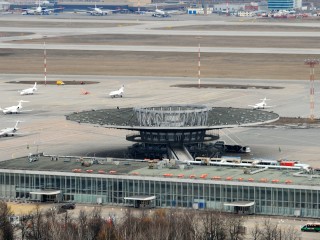 Тонны цветов поступили в Подмосковье в преддверии Дня знаний