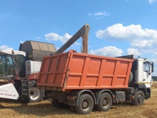 Аграрии Богородского округа обеспечили кормовую базу для животноводства