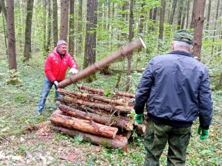 В Наро-Фоминском округе прошел субботник «Чистый лес»