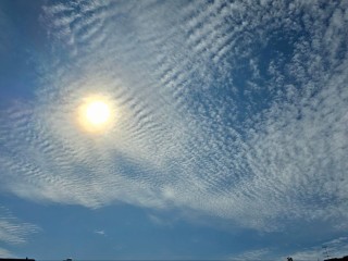 Синоптики такого не ожидали: рекордная жара +27°C ударит по Подмосковью в конце сентября