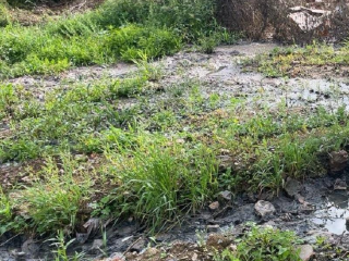 За загрязнение озера Щучье дачники получили официальное предостережение