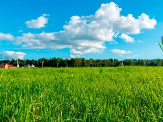 Часть земель вблизи Мошниц сохранят для сельскохозяйственного использования