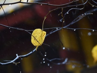 Бабье лето задержится: синоптики перенесли дату похолодания