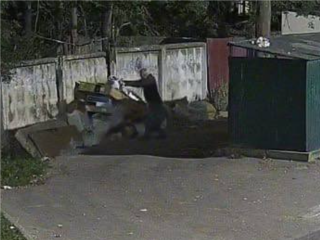 В Ожерелье выявили двух нарушителей, незаконно выбрасывавших мусор