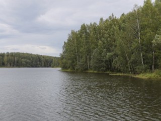 В Подмосковье расчистили водоемы