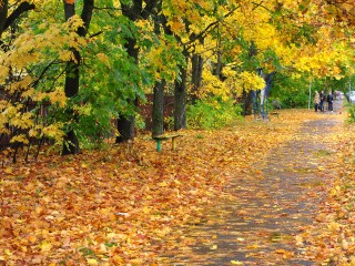 В конце недели в Московском регионе будет до +21°C