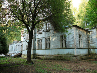 В парке «Папанинская дача» спасут от вырубки более 30 вековых сосен