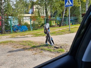 В Луховицах ломают и похищают «пластиковых» детей
