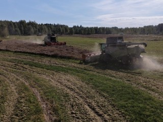 В Шаховской собрали урожай ярового рапса