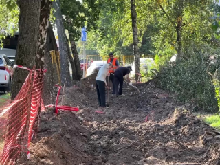 Полсотни сосен и гортензий высадят в новом сквере на Парковой улице