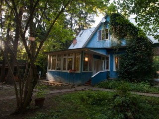 Абрикосы даже после суровых зим: какие сорта не боятся морозов