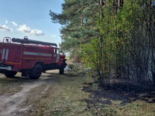 На территории лесного фонда Подмосковья за минувшие сутки потушен пожар
