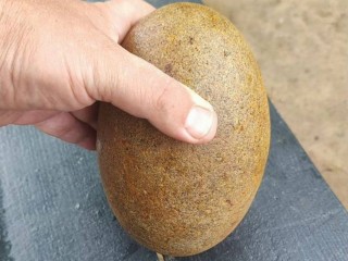 В Солнечногорске выставили на продажу «камень-яйцо» за 107 тыс. руб.