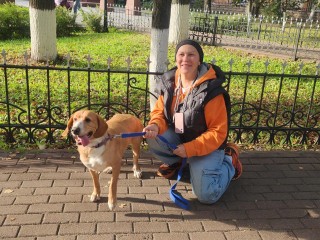 В Звенигороде ищут новые дома для кошек и собак из приютов