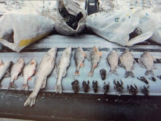 Прокуратура проверила соблюдение требований об охране водных ресурсов в Коломне