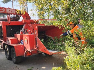 Коммунальщики Ивантеевки спилили опасные деревья на Детском проезде
