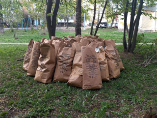 Электростальцы стали чаще жаловаться на избыток мусора во дворах