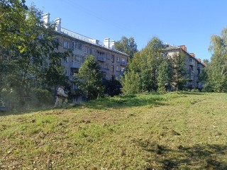 Высокую траву скосили между улицами Строителей и Гагарина в Красноармейске