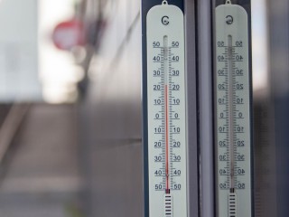 Однодневный всплеск тепла произойдет в Подмосковье до начала классической осени