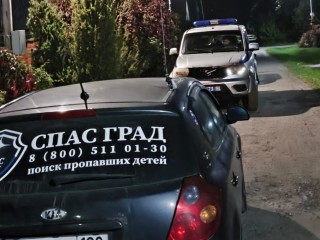 В Раменском 74-летняя бабушка ушла в лес и не вернулась