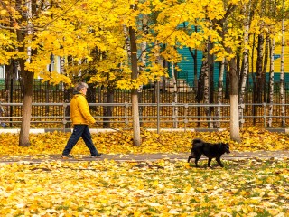 Синоптики назвали точную дату резкого похолодания в Подмосковье