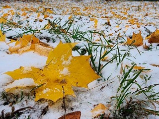 Аномальное начало недели: какая погода ожидается в Подмосковье 22-28 сентября 2025