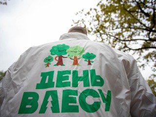 Жители округа высадили хвойные в лесопарке