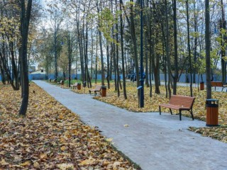Аномально теплый октябрь и суровый ноябрь: какой погоды ждать Подмосковью по мнению синоптиков