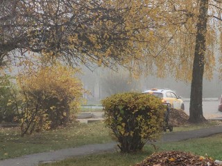 Волоколамск накрыло плотным туманом: видимость снизилась до 200 метров