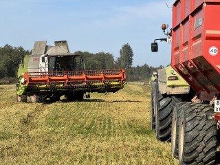 Урожай рапса и сои соберут в Шаховской с площади больше, чем 5 тыс. футбольных полей